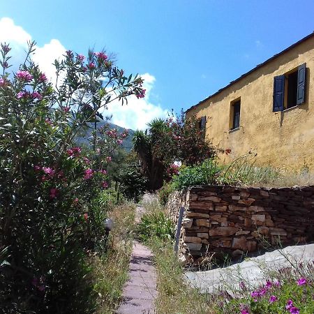 Ikarian Centre - Accommodation & Mountain Hiking Эвдилос Экстерьер фото