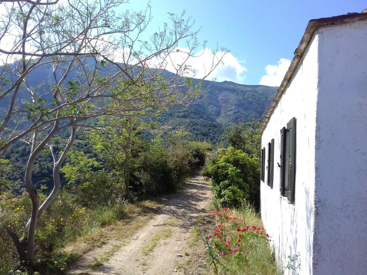 Ikarian Centre - Accommodation & Mountain Hiking Эвдилос Экстерьер фото