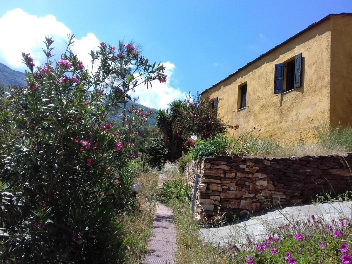 Ikarian Centre - Accommodation & Mountain Hiking Эвдилос Экстерьер фото
